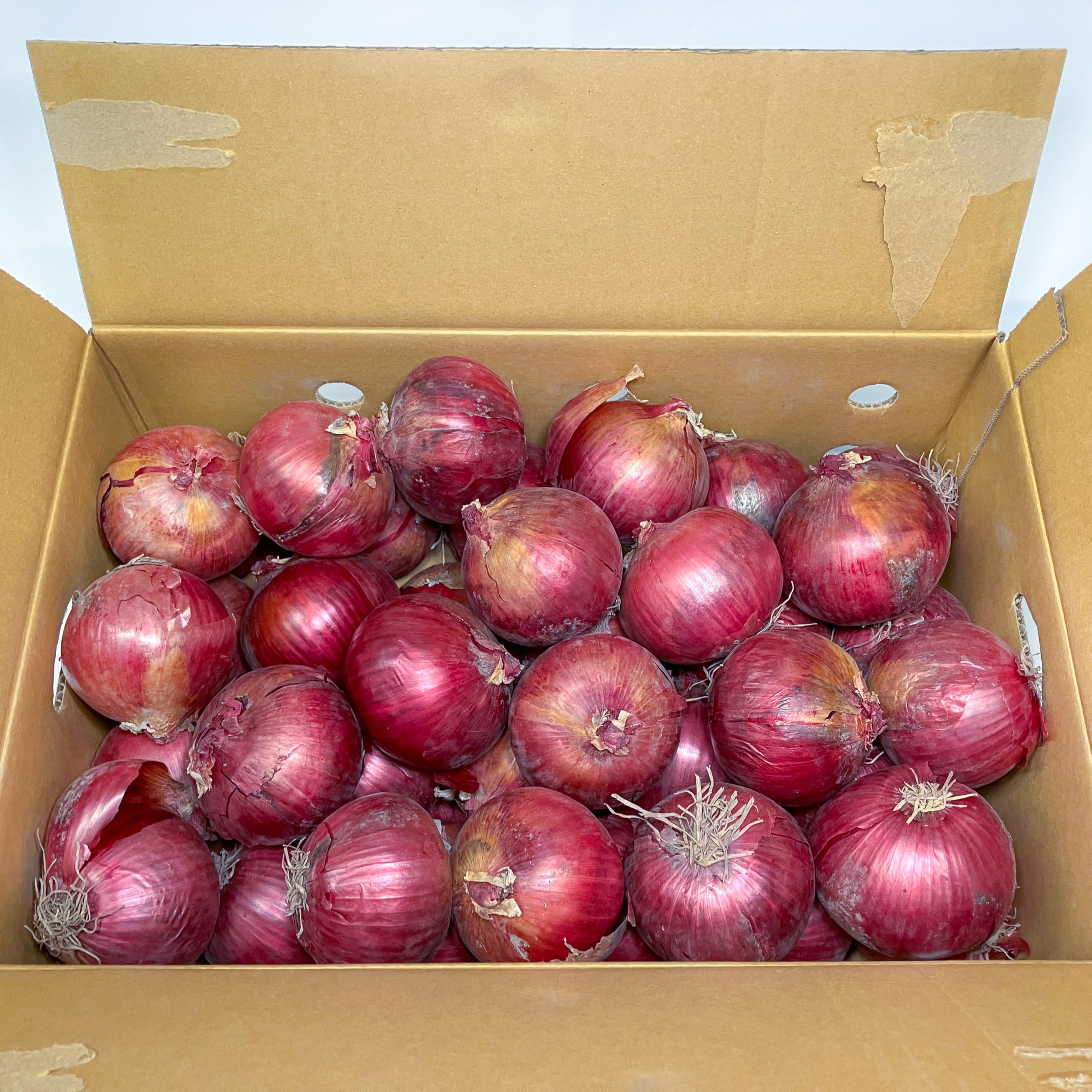 赤玉ねぎ　箱込み約20kg 国産 玉葱 20㎏ 1箱 Mサイズ - tig-store.com #